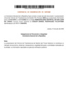 Vista preliminar de documento Constancia de Presentación de Informe