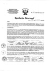 Vista preliminar de documento Resolución Directoral N°013-2020-DG-HEJCU-OP.PDF