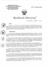 Vista preliminar de documento Resolución Directoral N°014-2020-DG-HEJCU Plan de Contingencia Elecciones Congresales 2020.PDF