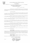 Vista preliminar de documento RGM0305-2008