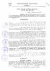 Vista preliminar de documento RGM0315-2008