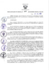 Vista preliminar de documento RES N°402-2022-GR