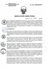 Vista preliminar de documento RD 089-2022-SA-DG-INR.pdf