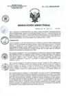Vista preliminar de documento RD 090-2022-SA-DG-INR.pdf