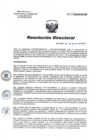 Vista preliminar de documento RD 094-2022-SA-DG-INR.pdf