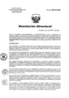 Vista preliminar de documento RD 106-2022-SA-DG-INR.pdf