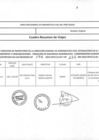 Vista preliminar de documento 447-2019 ANEXO.pdf