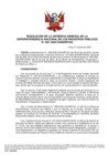 Vista preliminar de documento Resolución N° 230-2022-SUNARP_GG