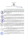 Vista preliminar de documento RGRI N° 71-2022