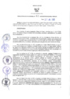 Vista preliminar de documento RER N° 411-2022