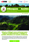 Vista preliminar de documento Boletin_BosquesEnAccion9.pdf