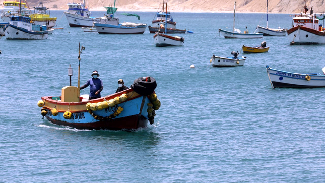 Imagen de pescadores artesanales