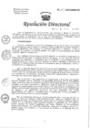 Vista preliminar de documento RESOLUCIÓN DIRECTORAL N° 195-2022.pdf