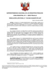 Vista preliminar de documento Resolución Jefatural N° 156-2022-SUNARP-ZRN°V-JEF