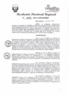 Vista preliminar de documento Resolución Directoral Regional Nº  0133-2019-GRSM-DRE