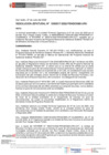 Vista preliminar de documento Resolución Jefatural