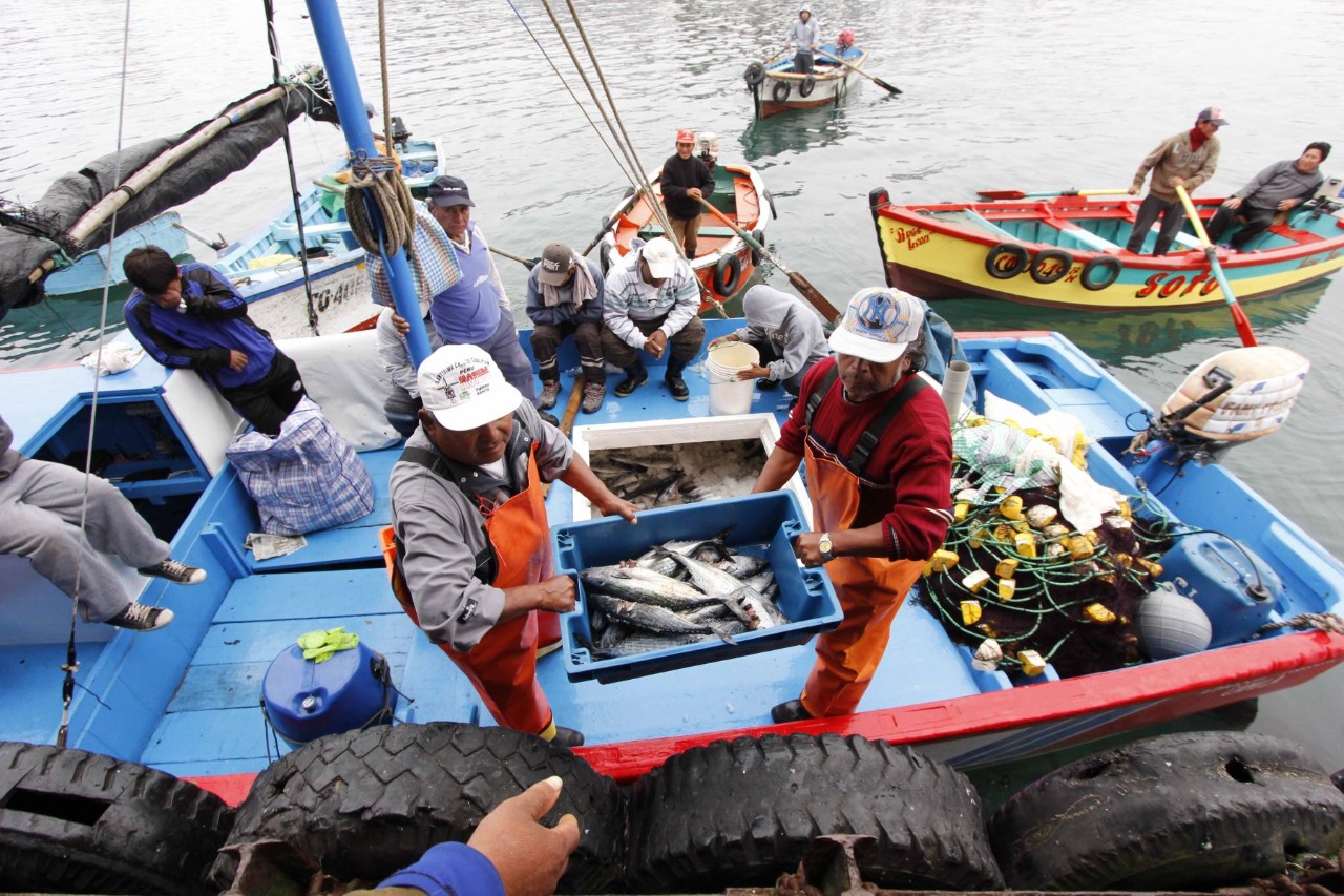 Imagen de pescadores desembarcando productos hidrobiológicos