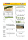 Vista preliminar de documento Boletín de abastecimiento y precio del ARROZ - 01/08/22