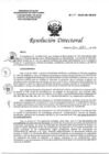 Vista preliminar de documento Resolución Directoral N°133-2020-DG-HEJCU.PDF