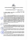 Vista preliminar de documento Resolución de Gerencia General