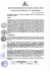 Vista preliminar de documento Resolución de Gerencia General