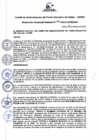 Vista preliminar de documento Resolución de Gerencia General