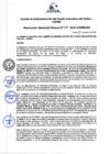 Vista preliminar de documento Resolución de Gerencia General
