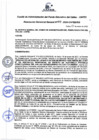 Vista preliminar de documento Resolución de Gerencia General