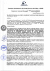 Vista preliminar de documento Resolución de Gerencia General
