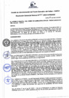 Vista preliminar de documento Resolución de Gerencia General