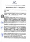Vista preliminar de documento Resolución de Gerencia General