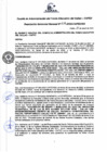 Vista preliminar de documento Resolución de Gerencia General