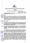 Vista preliminar de documento Resolución de Gerencia General