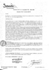Vista preliminar de documento R.A. Nº391.pdf