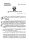 Vista preliminar de documento Resolución Directoral N°141-2020-DG-HEJCU.PDF
