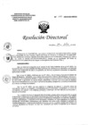 Vista preliminar de documento Resolución Directoral N°144-2020-DG-HEJCU Plan de Contingencia Fiestas Patrias HEJCU.PDF