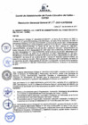 Vista preliminar de documento Resolución de Gerencia General