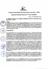 Vista preliminar de documento Resolución de Gerencia General
