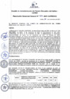 Vista preliminar de documento Resolución de Gerencia General