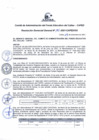 Vista preliminar de documento Resolución de Gerencia General