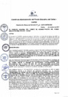 Vista preliminar de documento Resolución de Gerencia General
