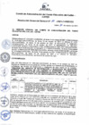 Vista preliminar de documento Resolución de Gerencia General