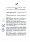 Vista preliminar de documento Resolución de Gerencia General