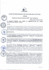 Vista preliminar de documento Resolución de Gerencia General
