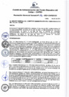 Vista preliminar de documento Resolución de Gerencia General