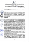 Vista preliminar de documento Resolución de Gerencia General