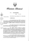 Vista preliminar de documento RD N° 311-2022.pdf