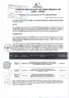 Vista preliminar de documento Resolución de Gerencia General