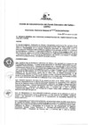Vista preliminar de documento Resolución de Gerencia General
