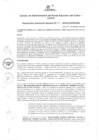Vista preliminar de documento Resolución de Gerencia General